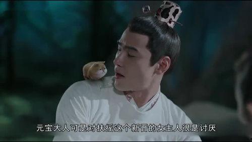 吃醋变成人形视频,吃醋视频变身人形,奇幻故事引热议