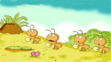 成人蚂蚁搬家怎么处理视频,揭秘成人蚂蚁高效协作之谜