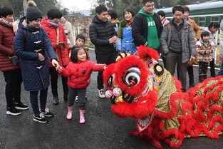 成人新年舞狮表演视频,精彩纷呈的成人舞狮表演瞬间回顾