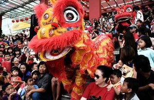 成人新年舞狮表演视频,精彩纷呈的成人舞狮表演瞬间回顾