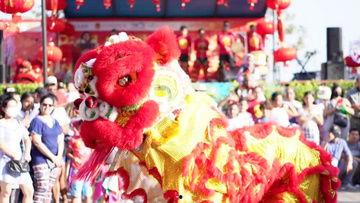 成人新年舞狮表演视频,精彩纷呈的成人舞狮表演瞬间回顾