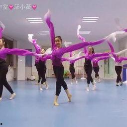 宽松成人舞蹈视频,轻松跟随的成人舞蹈视频指南