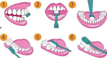 成人快速刷牙视频,跟随视频轻松掌握