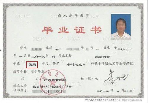 函授成人自考讲解视频,轻松掌握学习技巧与考试策略