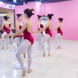 成人舞蹈基础拉伸视频,跟随视频轻松掌握成人舞蹈拉伸技巧