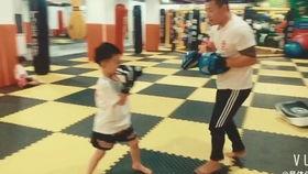 成人打架训练视频大全,打架训练视频大全精选