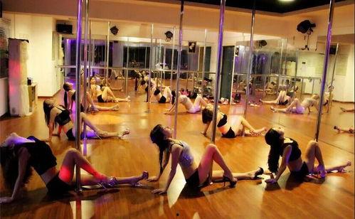 成人舞蹈单人片段视频大全,成人舞蹈单人片段精选集锦