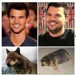 小狼人变成人了视频,揭秘神秘视频背后的奇幻之旅