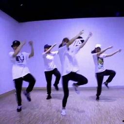 成人舞蹈课基础教学视频,轻松入门，舞动人生