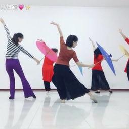 成人舞蹈课基础教学视频,轻松入门,舞动人生