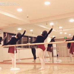 成人芭蕾舞姿势视频,成人芭蕾舞姿势解析与示范