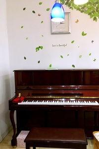 成人钢琴视频课程,跟随视频课程轻松掌握钢琴技巧