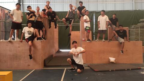 午夜成人动作视频免费,免费成人动作视频揭秘